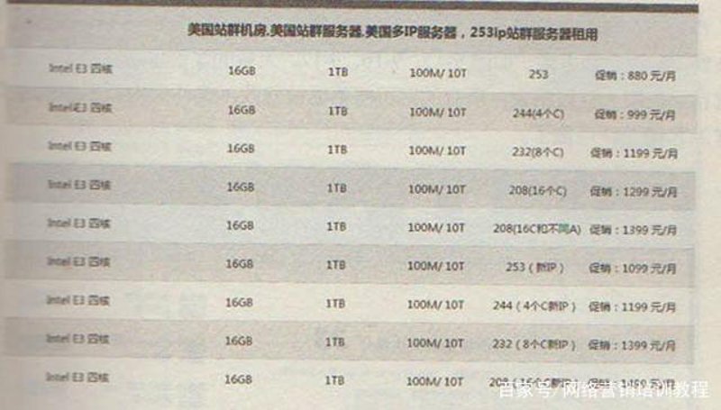 SEO站群：构建互联网多元化的竞争生态